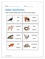 Look at each animal and circle the correct group