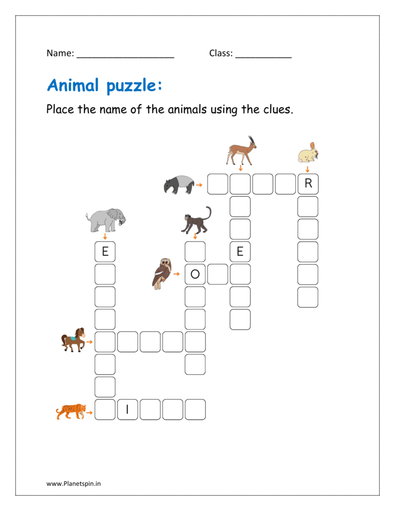 Place the names of the animal using the clues