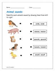 Identify each animal’s sound by drawing lines from left to right