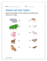 Match the animals to their babies by drawing lines from left to right