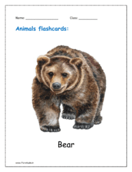 6. Free Animal flashcards of Bear