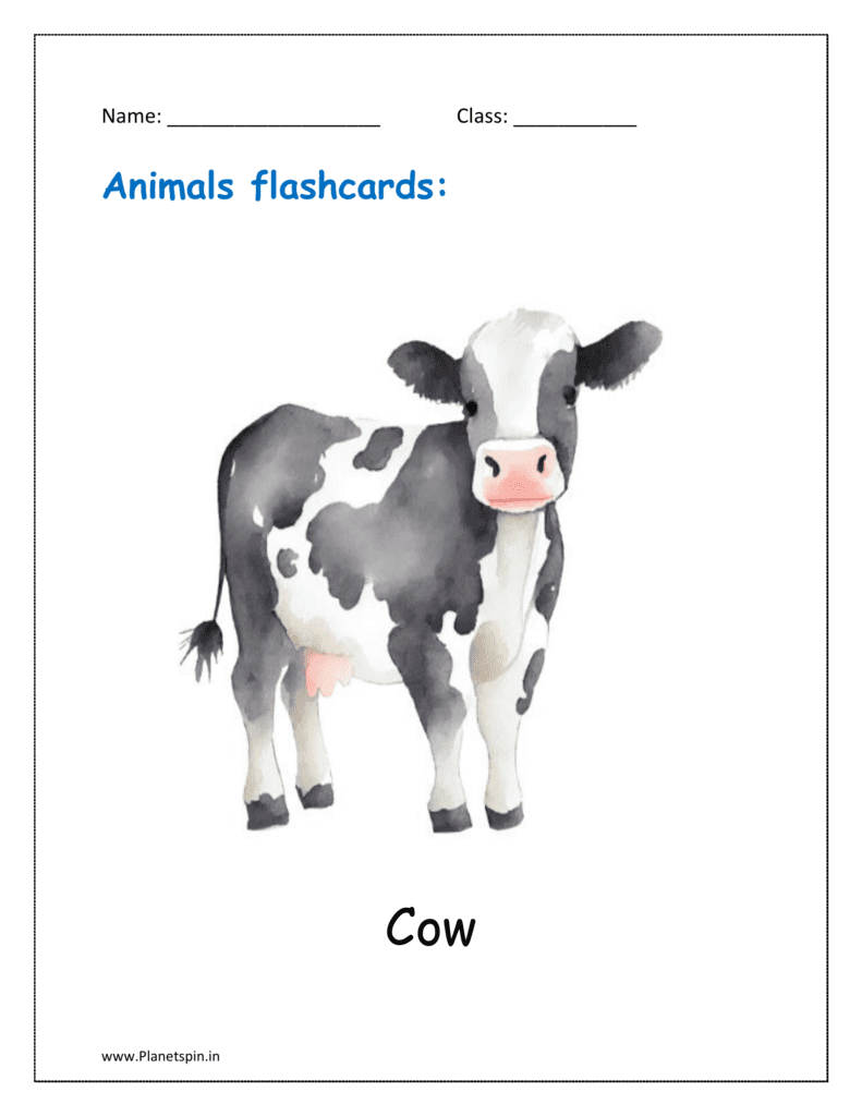 11. Free Animal flashcard of Cow