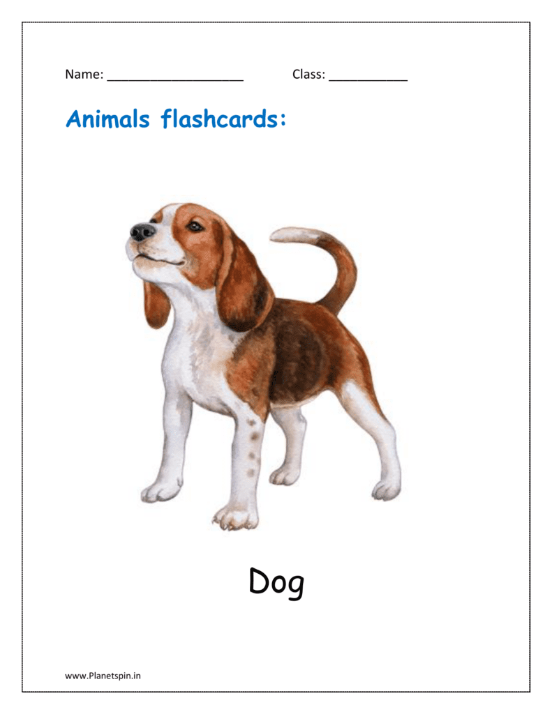 10. Animal flashcard of Dog