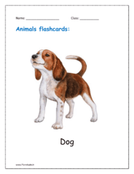 10. Animal flashcard of Dog