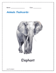 7. Free Animal flashcards of Elephant