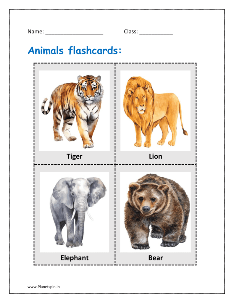 animals flashcards for kindergarten pdf