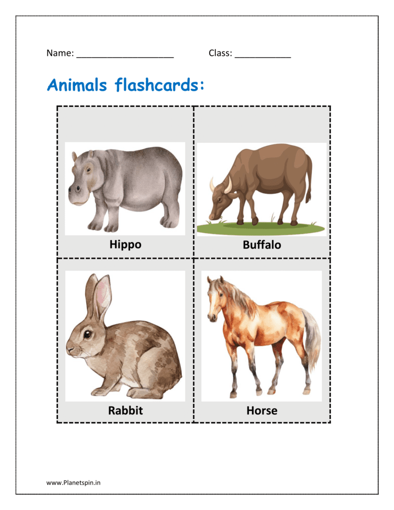 animal flashcards