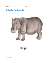 3. Animal flashcard of Hippo