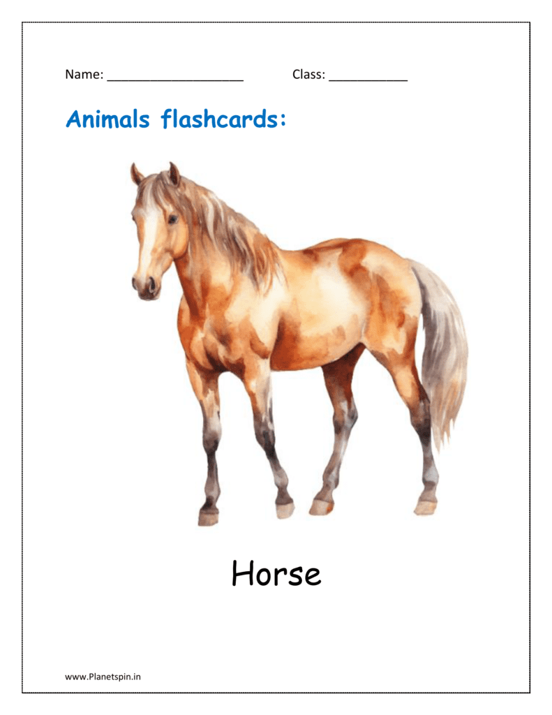 1. Animal flashcard of Horse