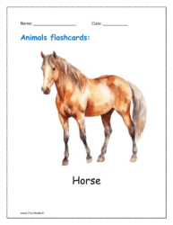 1. Animal flashcard of Horse