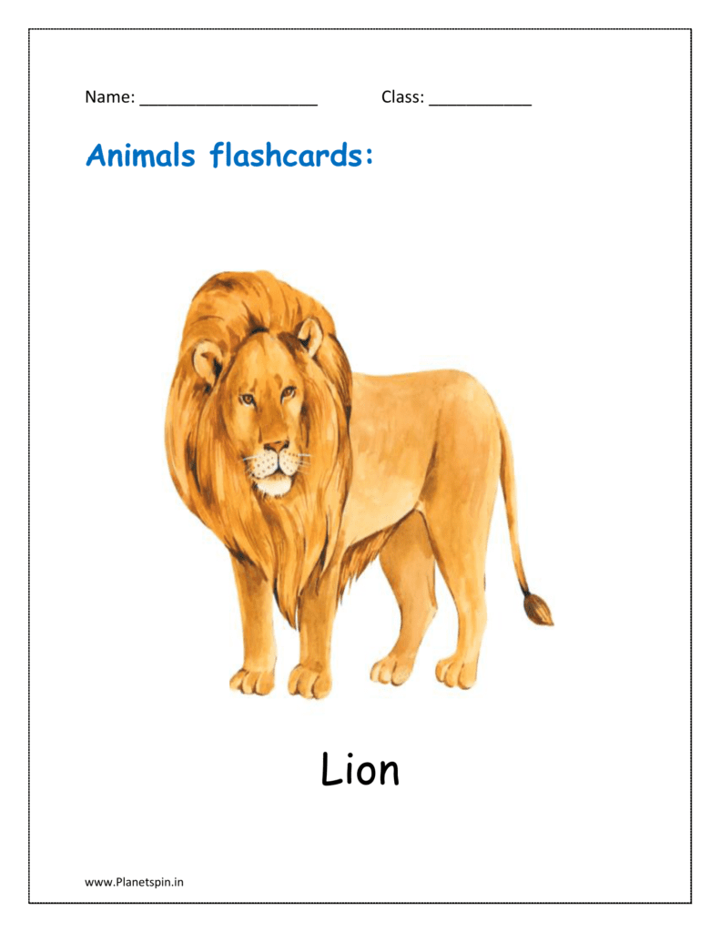 15. Animal flashcard of Lion