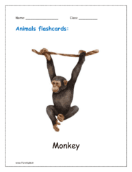 12. Animal flashcard of Monkey