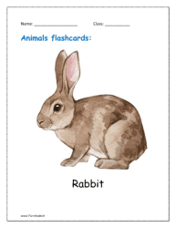 1. Animal flashcard of Rabbit