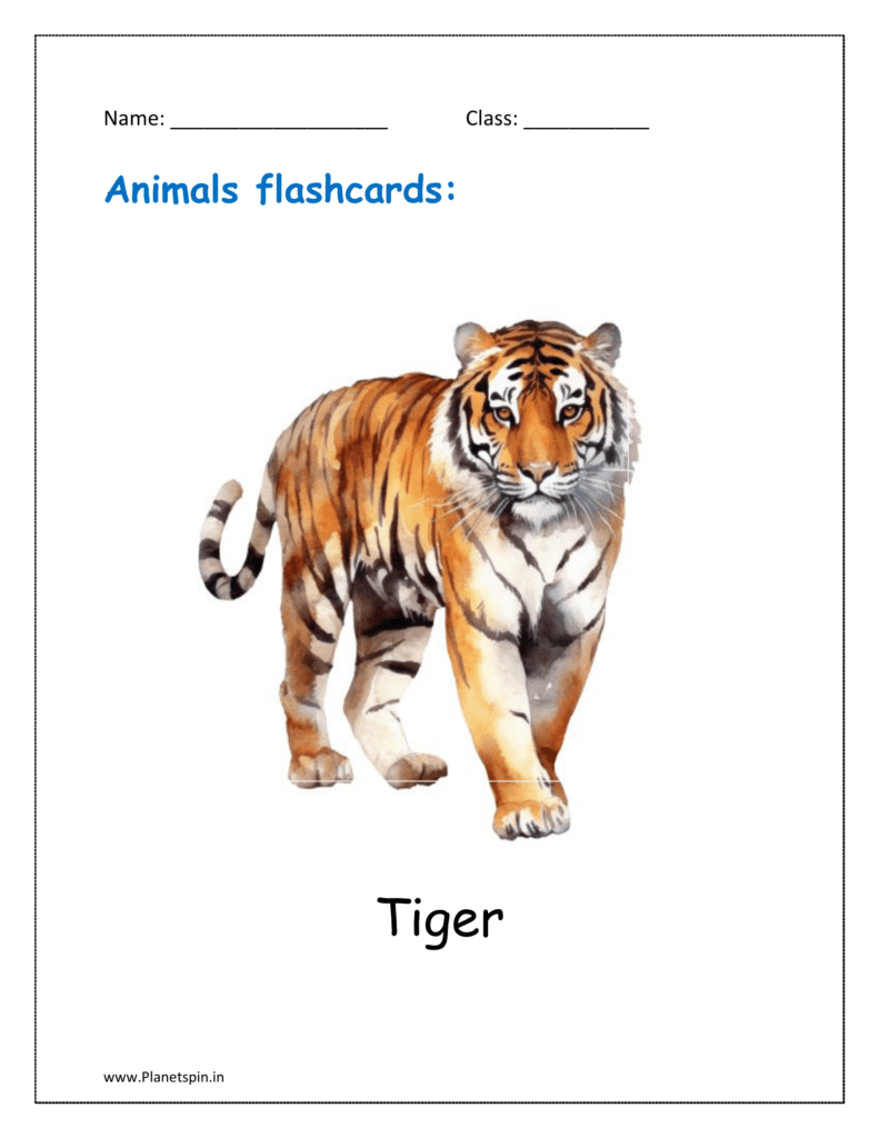 5. Animal flashcard of Tiger