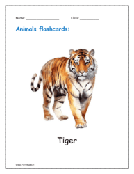 5. Animal flashcard of Tiger