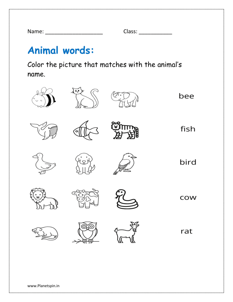 Animal names worksheet for kindergarten | Planetspin.in