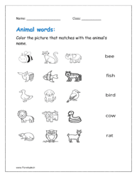 Color the picture that matches with the animal names