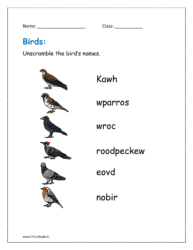 Unscramble the bird’s names