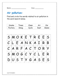 Find and circle the words related to air pollution in the word search below.