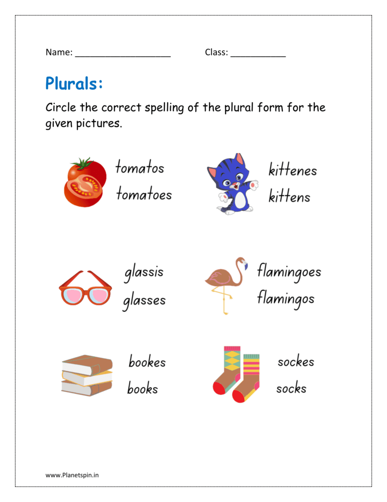 Circle the correct spelling of the plural form for the given pictures