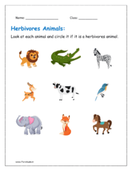 what are herbivores