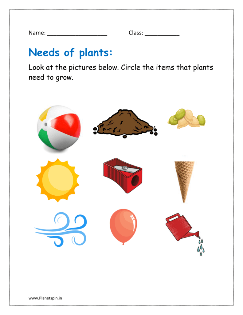 Look at the pictures below. Circle the items that plants need to grow.