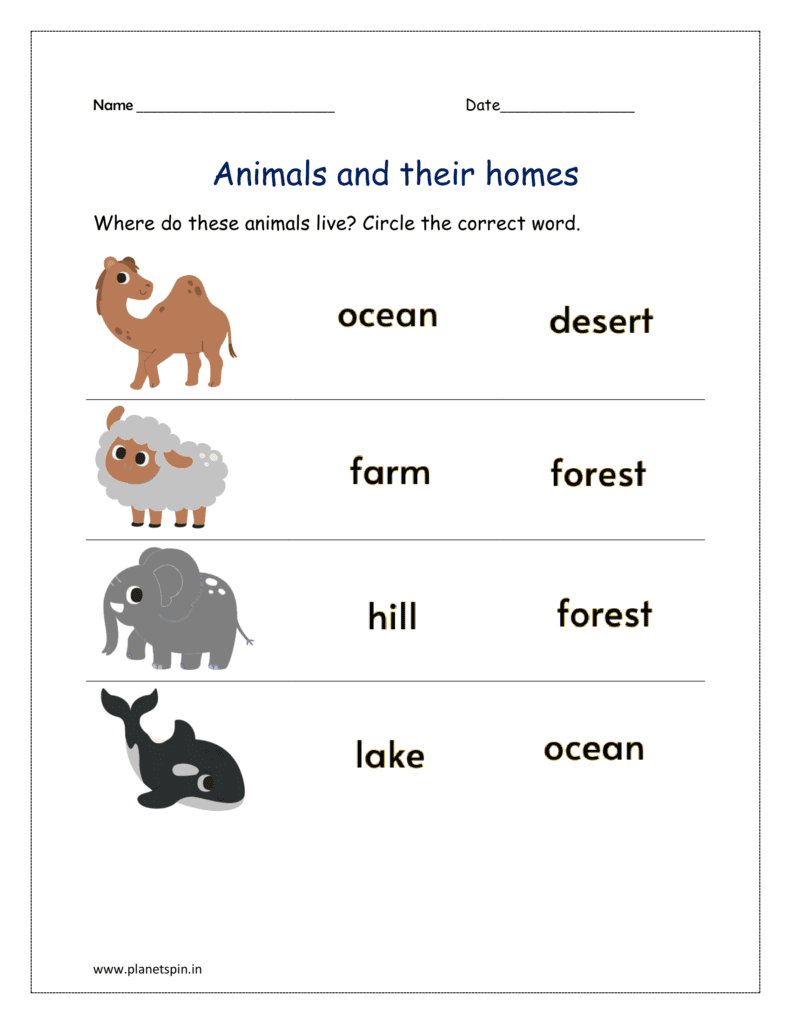 animals their homes