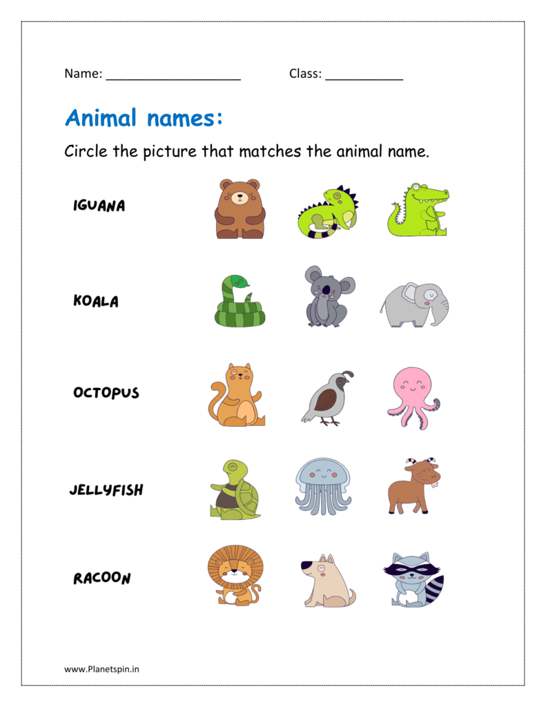 Circle the picture that matches the animal names