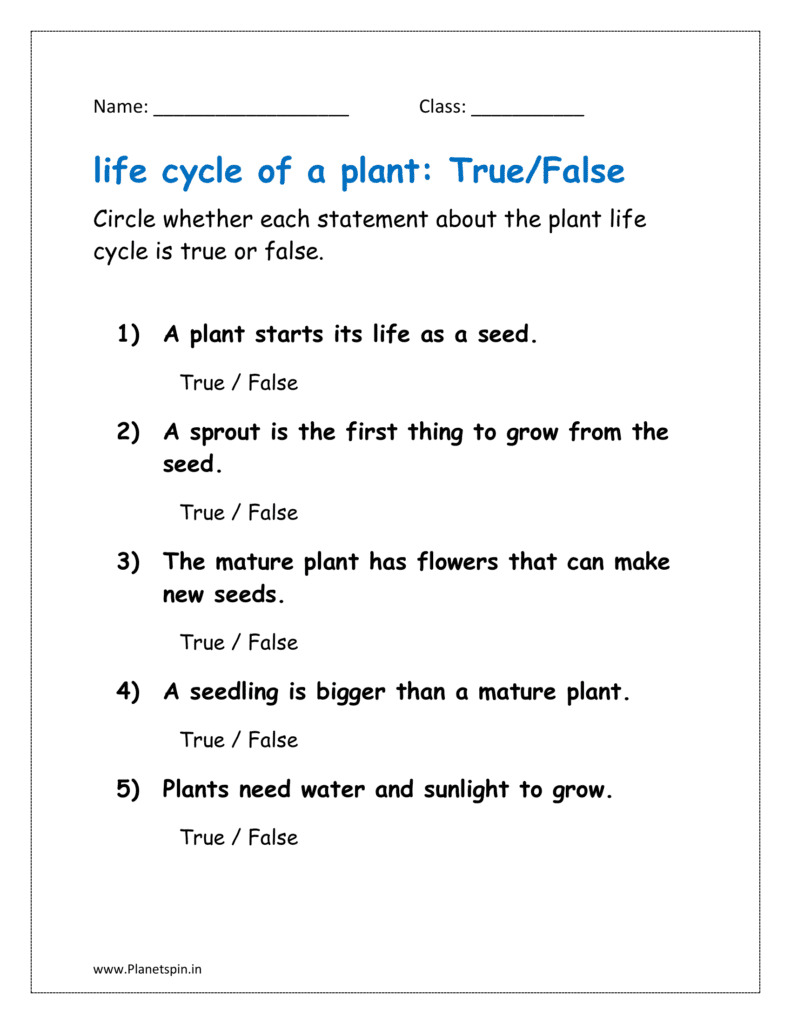 Circle whether each statement about the plant life cycle is true or false.