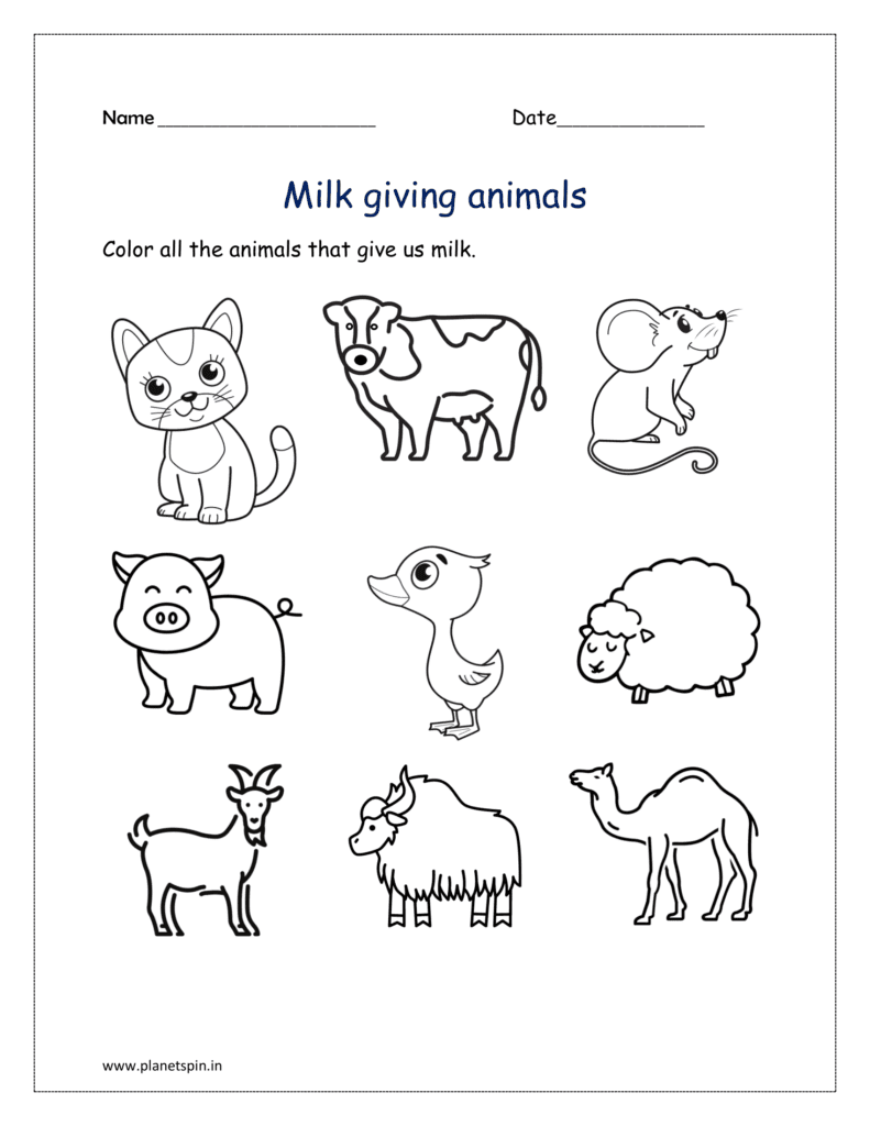 Milk giving animals: Color all the animals that give us milk