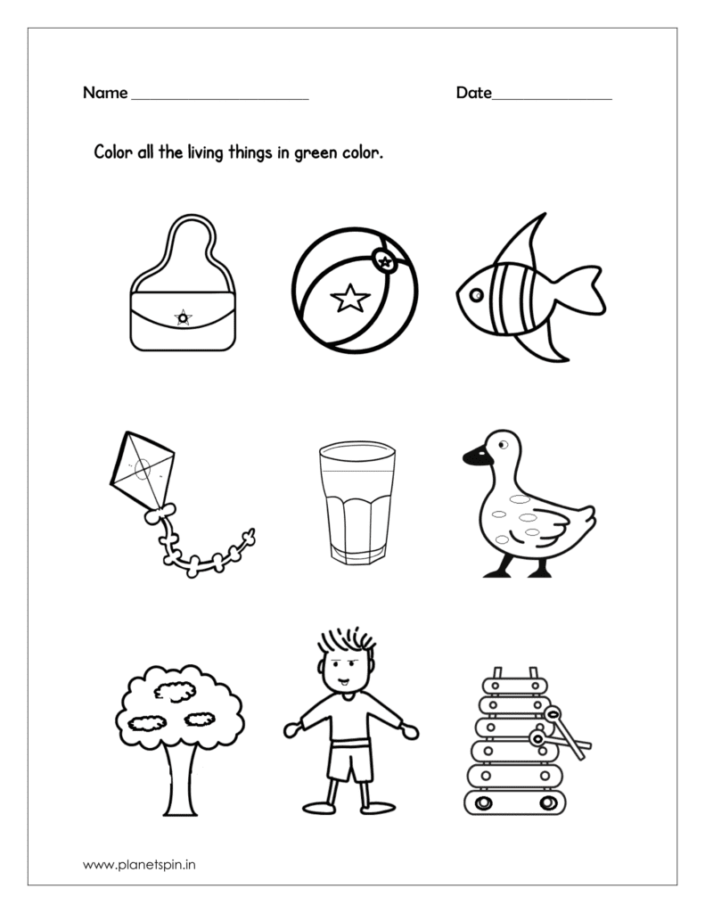 Color all the living things in green color and download the science worksheets for free