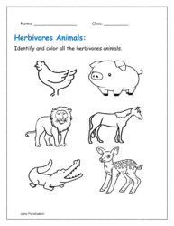 Identify and color all the herbivores animals.