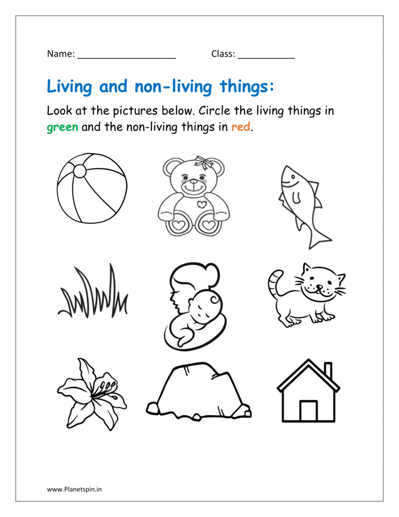 Look at the pictures below. Circle the living thing in green and the non-living thing in red.