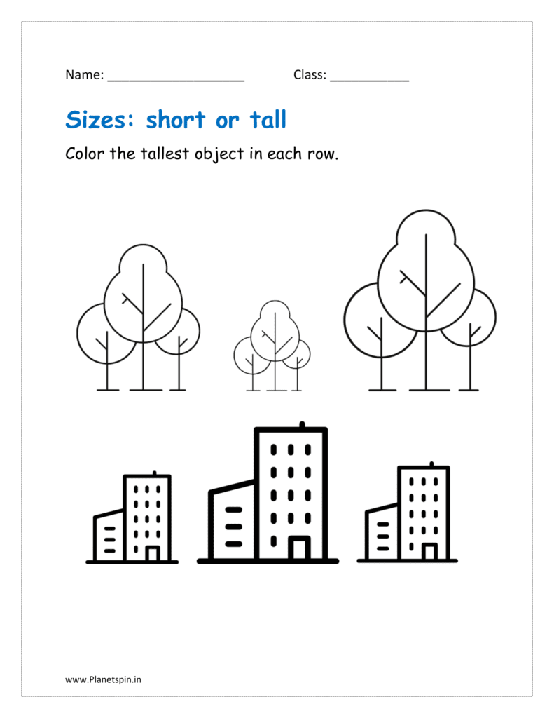 Color the tallest object in each row after comparing the sizes