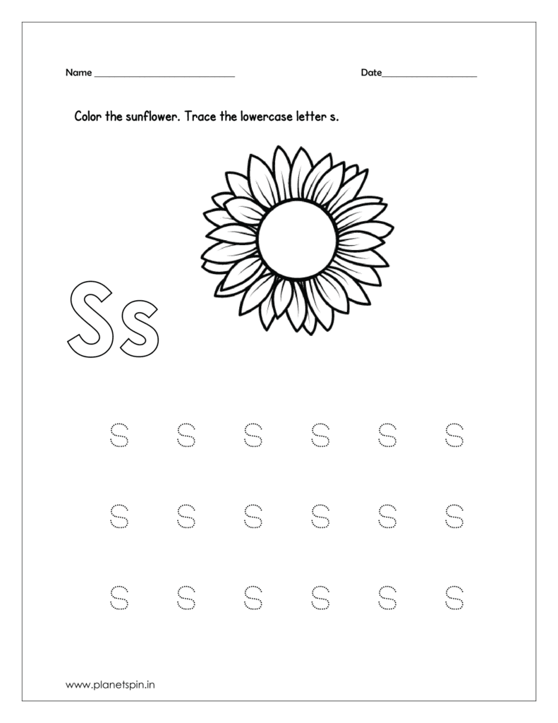 Color the sunflower 