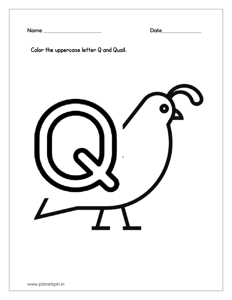 Color the Quail