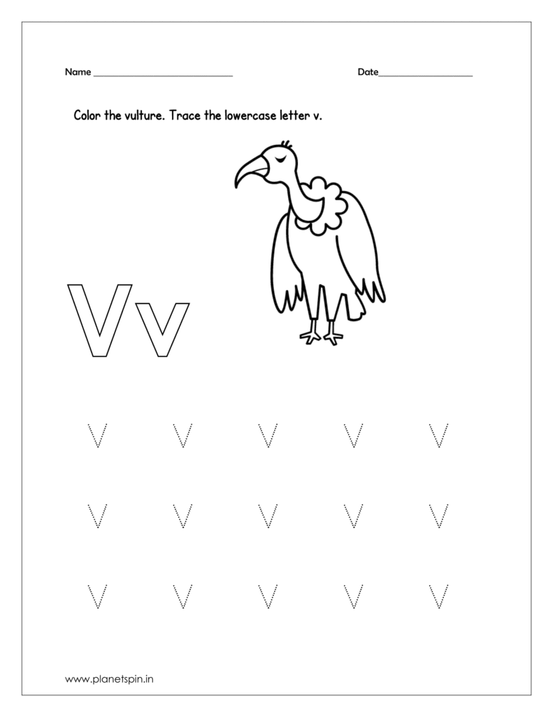 Color the vulture  