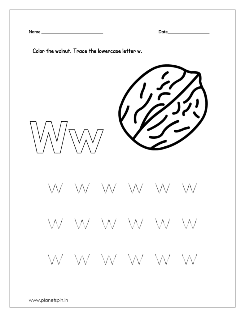 Color the walnut  in the given letter w free printable worksheet