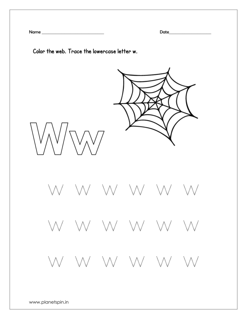 Color the web 