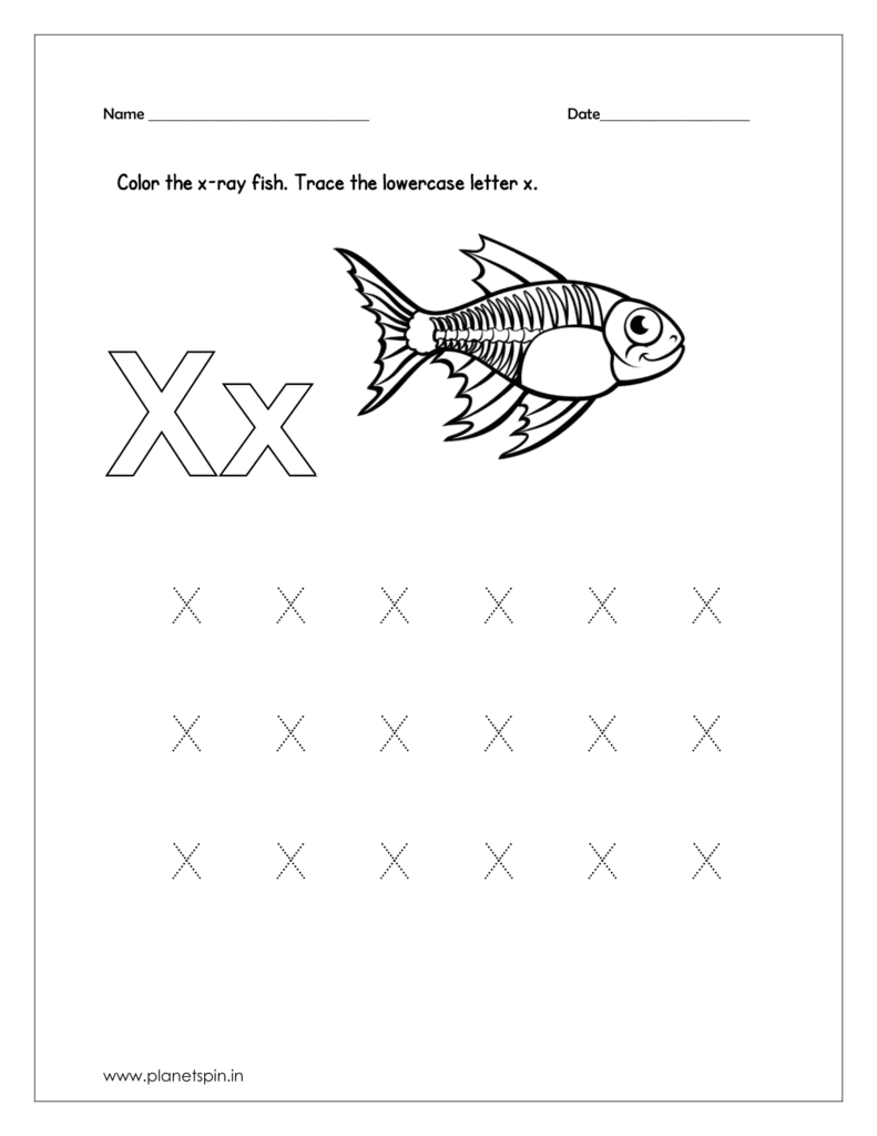  Color the x-ray fish