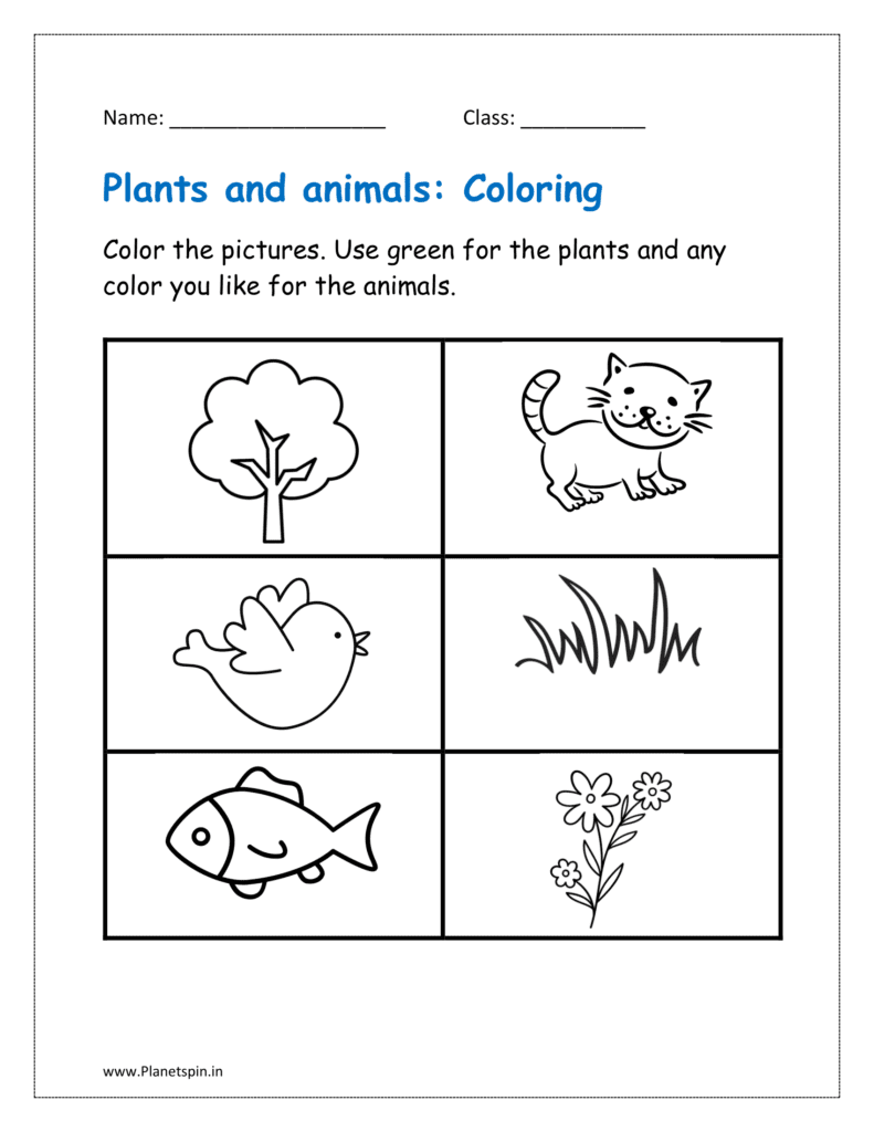 Color the pictures. Use green for the plants and any color you like for the animals to identify them in the given worksheet pdf.