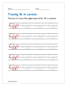 4. Trace uppercase letter W in cursive writing in free printable worksheet pdf