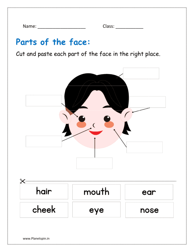 Parts of the face printable worksheet for grade 1