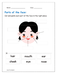 parts of the face names