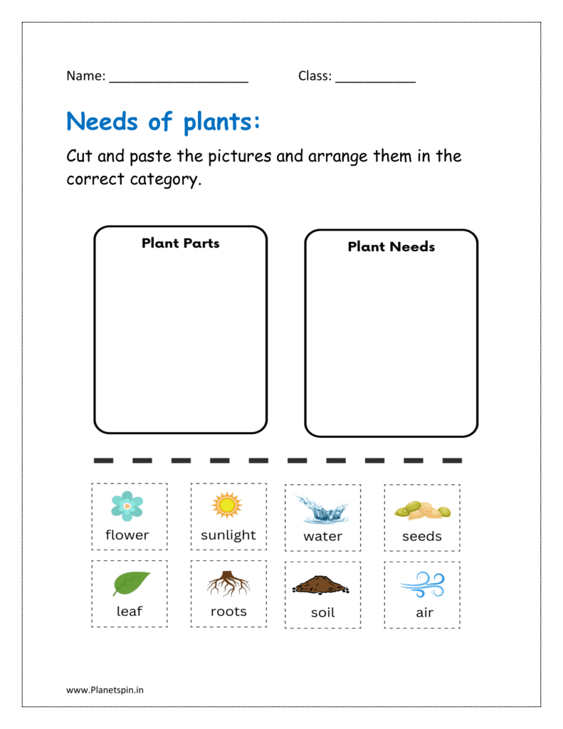 Cut and paste the pictures and arrange them in the correct category.