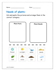 Cut and paste the pictures and arrange them in the correct category.