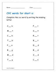 a: Complete the cvc word by writing the missing letter