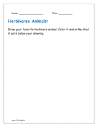 Draw your favorite herbivore animal. Color it and write what it eats below your drawing.