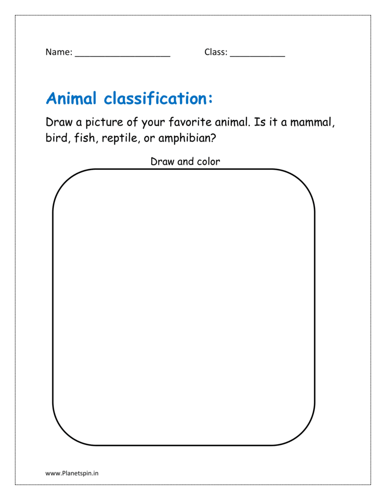 Draw a picture of your favorite animal. Is it a mammal, bird, fish, reptile, or amphibian?