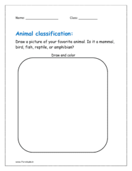 Draw a picture of your favorite animal. Is it a mammal, bird, fish, reptile, or amphibian?